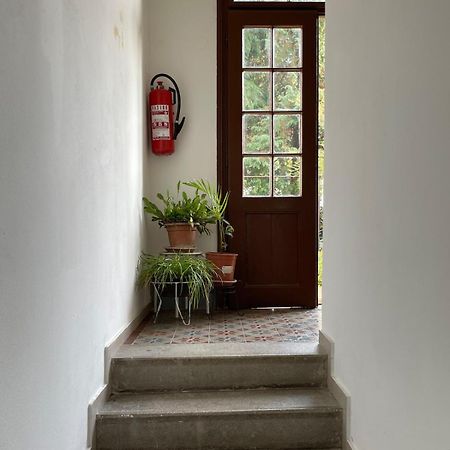 Mima'S Place Zagreb Ngoại thất bức ảnh